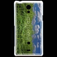 Coque Sony Xperia T Champs de cannabis