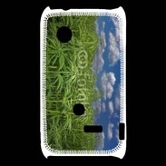 Coque Sony Xperia Typo Champs de cannabis