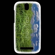 Coque HTC One SV Champs de cannabis
