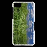 Coque Blackberry Z10 Champs de cannabis