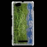 Coque Sony Xperia M Champs de cannabis