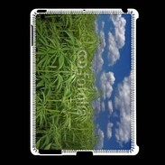 Coque iPad 2/3 Champs de cannabis