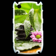Coque Blackberry 8520 Zen attitude 61