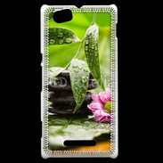 Coque Sony Xperia M Zen attitude 61