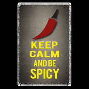 Etui carte bancaire Keep Calm and Be Spicy Gris
