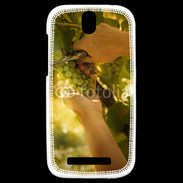 Coque HTC One SV Vignoble