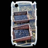 Coque Blackberry 8520 Conchyliculteur
