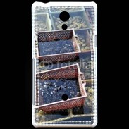 Coque Sony Xperia T Conchyliculteur