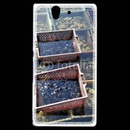 Coque Sony Xperia Z Conchyliculteur
