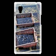 Coque LG Optimus L9 Conchyliculteur