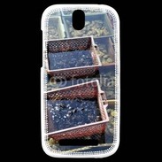 Coque HTC One SV Conchyliculteur