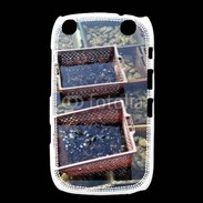 Coque Blackberry Curve 9320 Conchyliculteur