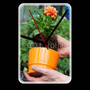 Grande pendule murale Horticulteur 6