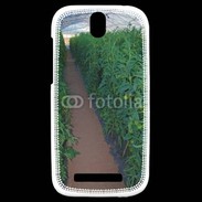 Coque HTC One SV Horticulteur 8