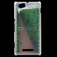 Coque Sony Xperia M Horticulteur 8