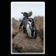 Etui carte bancaire 2 pingouins