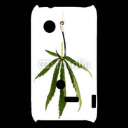 Coque Sony Xperia Typo Pêche de cannabis
