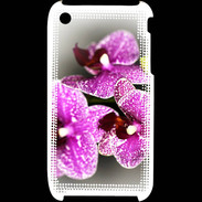Coque iPhone 3G / 3GS Belle Orchidée PR