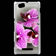 Coque Sony Xperia M Belle Orchidée PR