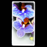 Coque Sony Xperia Z Belle Orchidée PR 40
