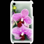 Coque iPhone 3G / 3GS Belle Orchidée PR 50
