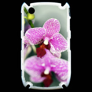 Coque Blackberry 8520 Belle Orchidée PR 50