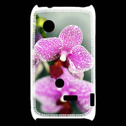 Coque Sony Xperia Typo Belle Orchidée PR 50