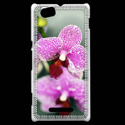 Coque Sony Xperia M Belle Orchidée PR 50