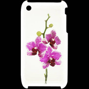 Coque iPhone 3G / 3GS Branche orchidée PR