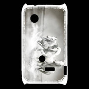 Coque Sony Xperia Typo Chevaux blancs