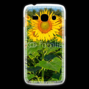 Coque Samsung Galaxy Ace3 Champs de Tournesol