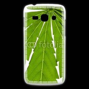 Coque Samsung Galaxy Ace3 Feuille de cannabis 4
