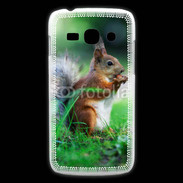 Coque Samsung Galaxy Ace3 Ecureuil