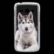 Coque Samsung Galaxy Ace3 Chien Husky de Sibérie