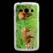 Coque Samsung Galaxy Ace3 Chevreuil PB 1