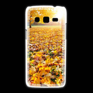 Coque Samsung Galaxy Express2 Paysage d'automne 