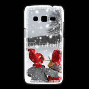 Coque Samsung Galaxy Express2 hiver 5