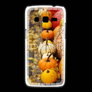 Coque Samsung Galaxy Express2 Citrouilles