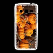 Coque Samsung Galaxy Express2 Citrouilles 2