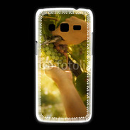 Coque Samsung Galaxy Express2 Vignoble
