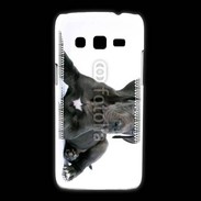 Coque Samsung Galaxy Express2 Dogue allemand noir