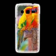 Coque Samsung Galaxy Express2 Couple d'oiseaux colorés