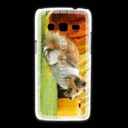 Coque Samsung Galaxy Express2 Agility Colley