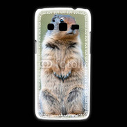 Coque Samsung Galaxy Express2 Marmotte 2