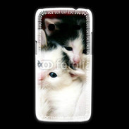 Coque Samsung Galaxy Express2 Duo de chatons 2