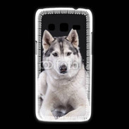 Coque Samsung Galaxy Express2 Chien Husky de Sibérie
