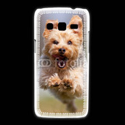 Coque Samsung Galaxy Express2 Yorkshire terrier 6