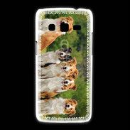 Coque Samsung Galaxy Express2 Groupe de 5 chiens Border Collie