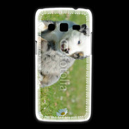 Coque Samsung Galaxy Express2 Chiot blanc et gris 1