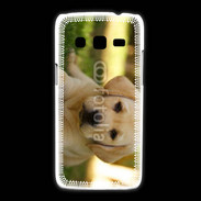 Coque Samsung Galaxy Express2 Chiot labrador 4